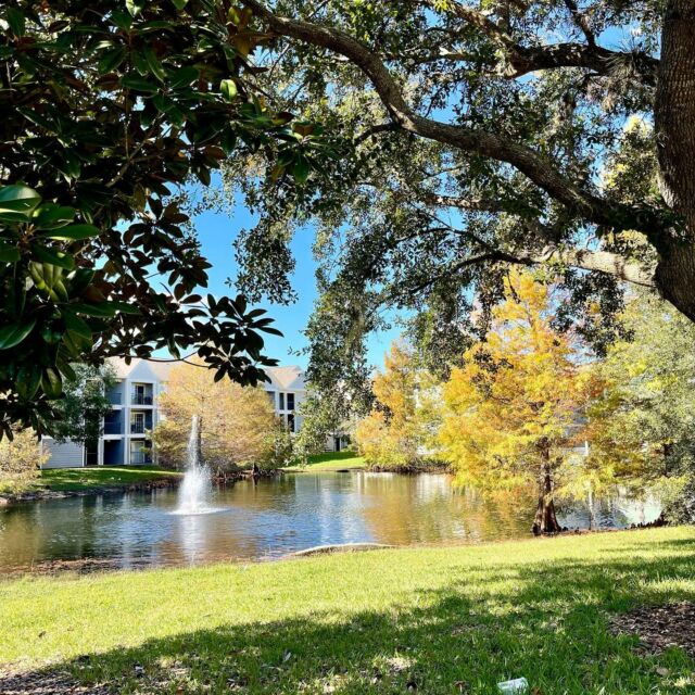 Apartments for Rent Near UCF Contact Us Northgate Lakes